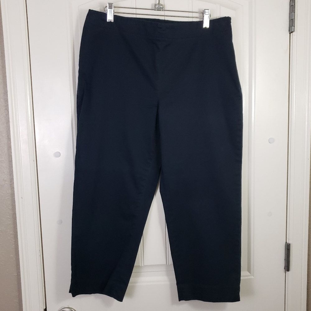 LAST CHANCE Talbots Cropped Classic Side Zip